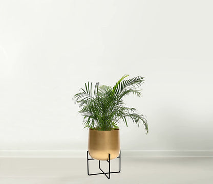 Large metal plant pot |brushed gold color