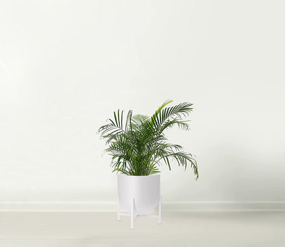 Large Planter with stand | White